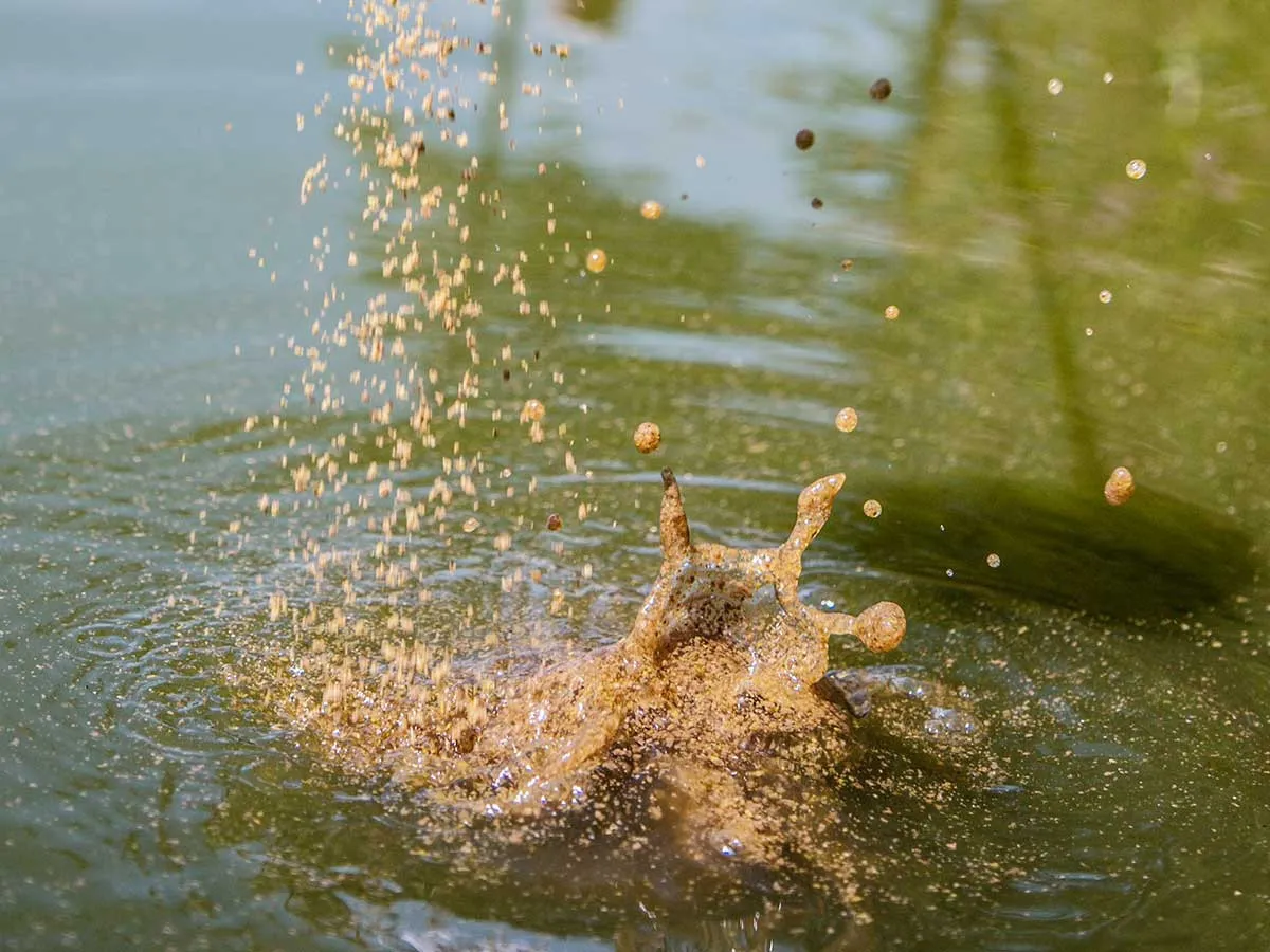 Zanęta własnej roboty spada do wody, tworząc efektowny rozbryzg.
