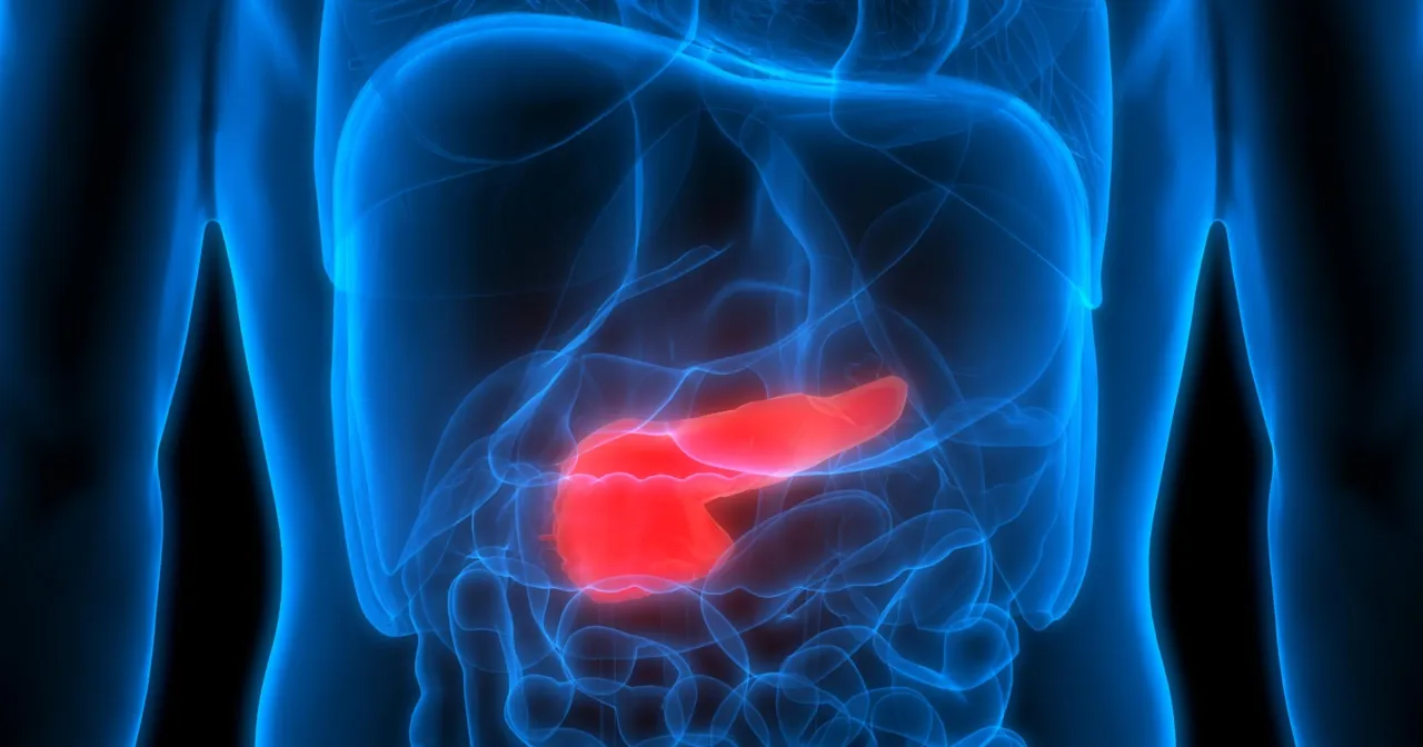 anatomia trzustki lokalizacja ból