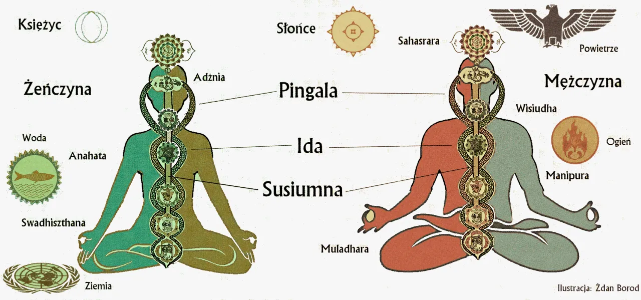 Czakra podstawy Muladhara