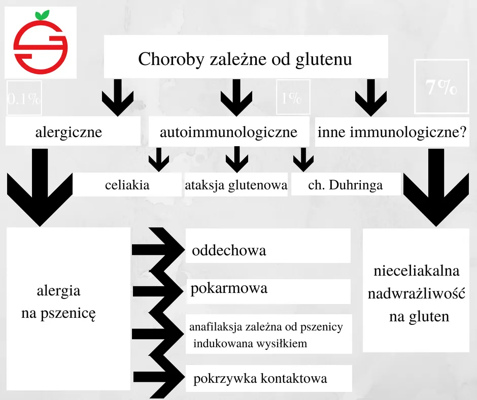 Rodzaje chorób glutenozależnych grafika