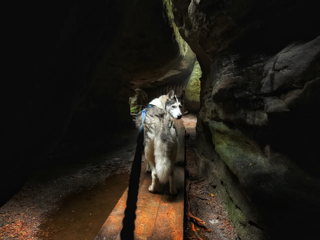 G&oacute;ry Stołowe zakaz wejścia z psem Szczeliniec Błędne Skały