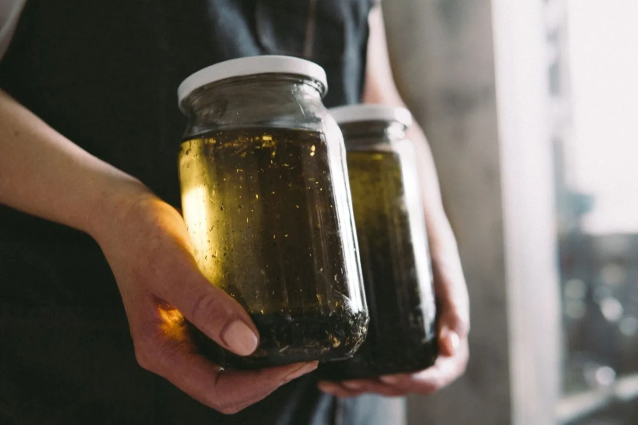 słoje z nalewkami w trakcie maceracji