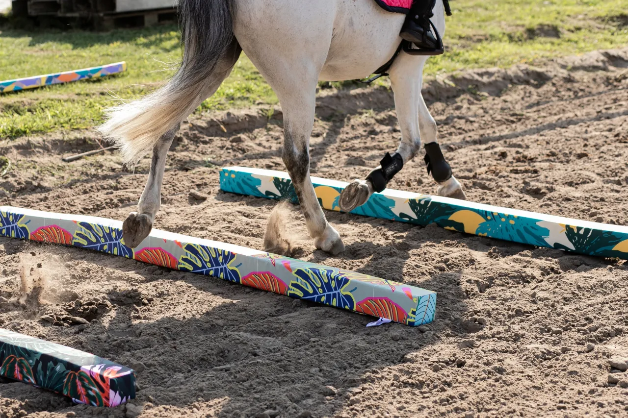Przeszkody jeździeckie kolory widoczne dla konia