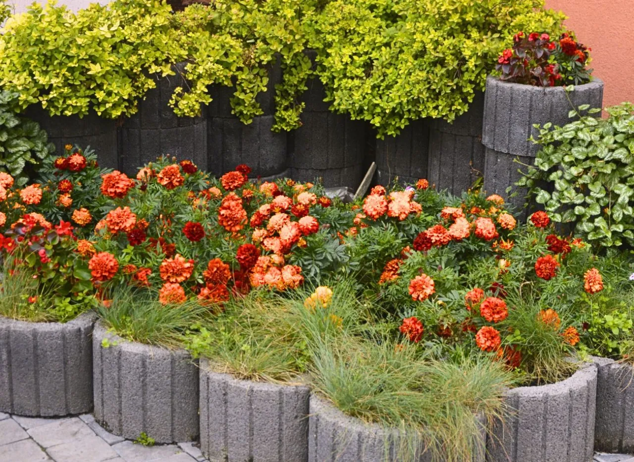 Sadzenie roślin w gazonach instrukcja