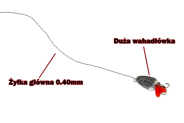 zestaw spinningowy na suma