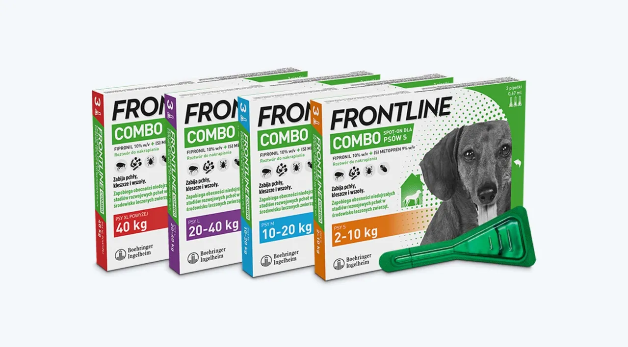 Pies z kotem w domu bezpieczeństwo Frontline