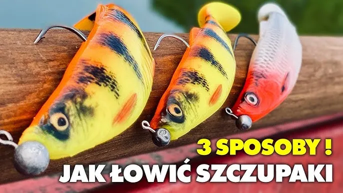 Zdjęcie Mała rybka jako przynęta – jak skutecznie łowić drapieżniki?