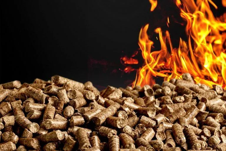 Zdjęcie Z czego powstaje pellet? Surowce, proces produkcji i ekologiczne korzyści