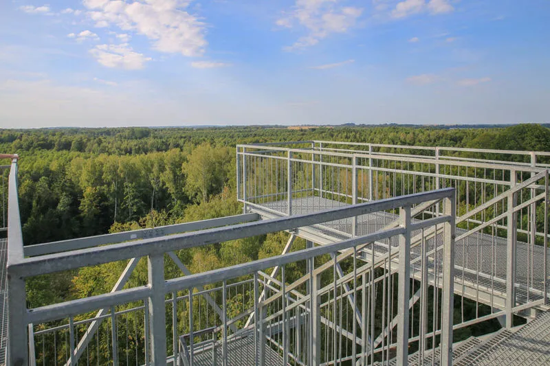 Zdjęcie Wieża widokowa w Mamerkach - Panorama Puszczy Wkrzańskiej | Wjedź na szczyt!