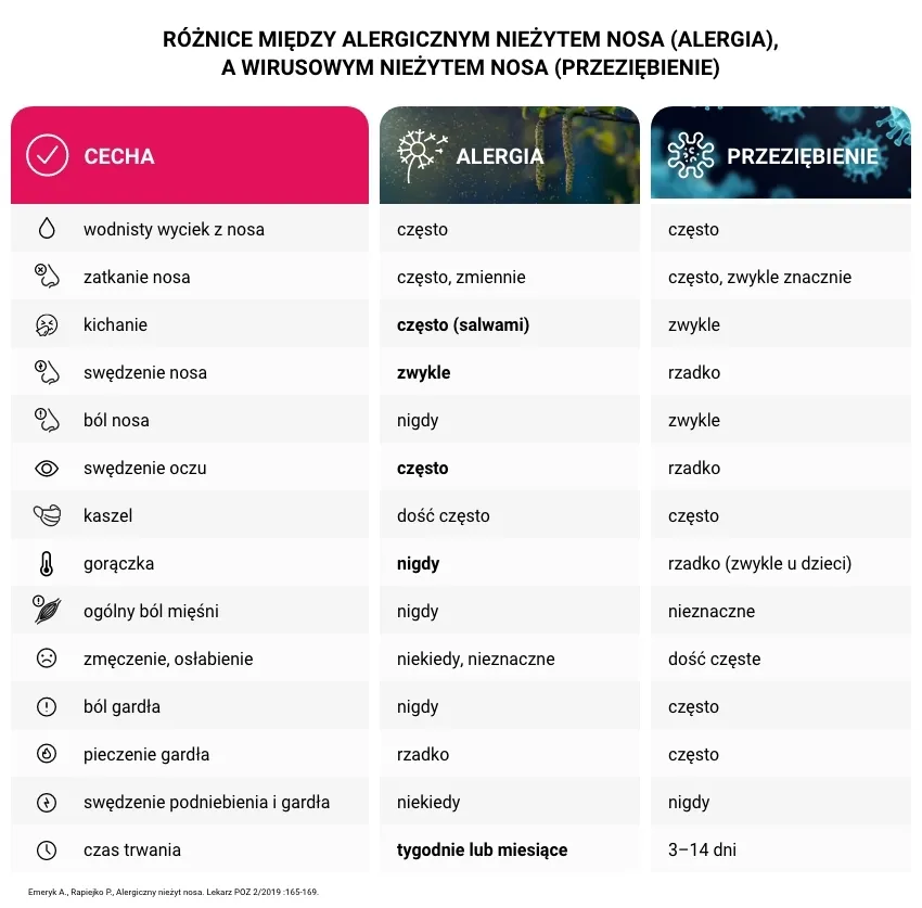 Zdjęcie Alergia: Jak rozpoznać objawy? Kluczowe sygnały i różnice
