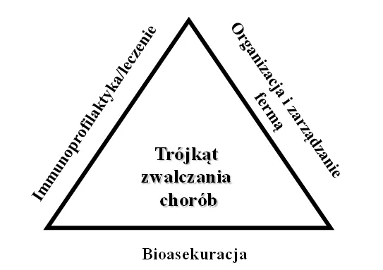 Zdjęcie Bioasekuracja na fermie świń: kluczowe zasady i skuteczne metody