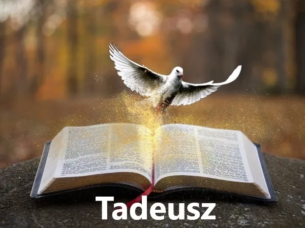Zdjęcie Znaczenie imienia Tadeusz: Co znaczy Twoje imię? Odkryj teraz!