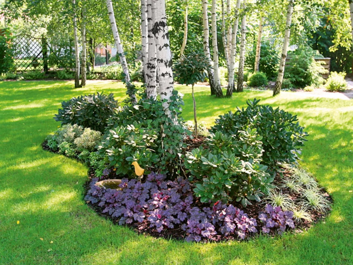 Zdjęcie Co można posadzić na działce rolnej? Odkryj najlepsze rośliny i triki