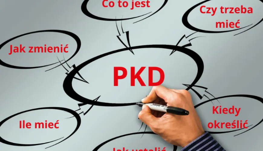 Zdjęcie Co to jest klasa działalności PKD i jak wpływa na biznes w Polsce