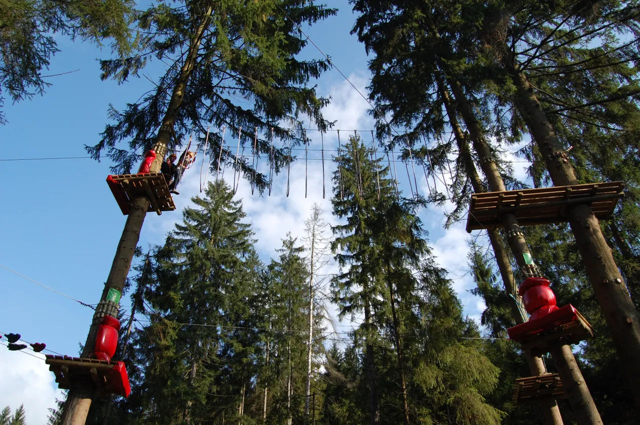 Zdjęcie Park linowy Piaseczno - atrakcje, godziny otwarcia i lokalizacja
