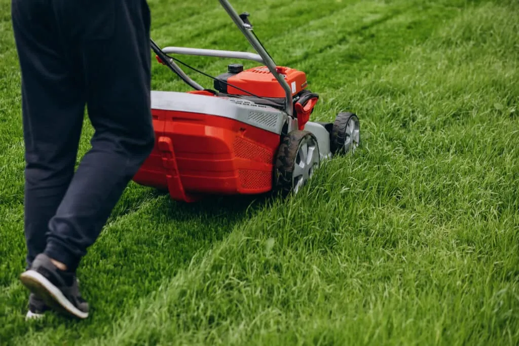 Zdjęcie Jak wyczyścić filtr powietrza w kosiarce i uniknąć kosztownych napraw