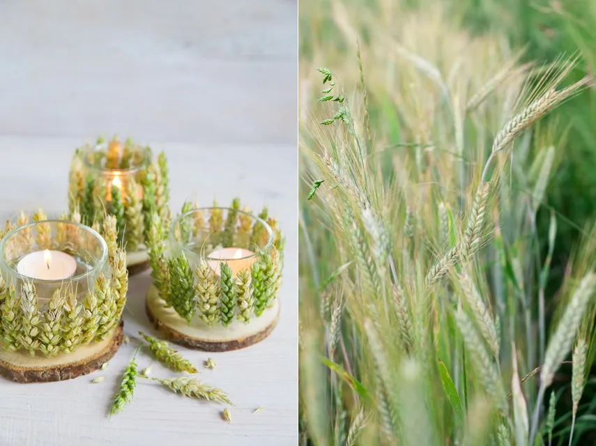 Zdjęcie Jak zrobić kwiaty z kłosów zboża - proste sposoby na piękne dekoracje