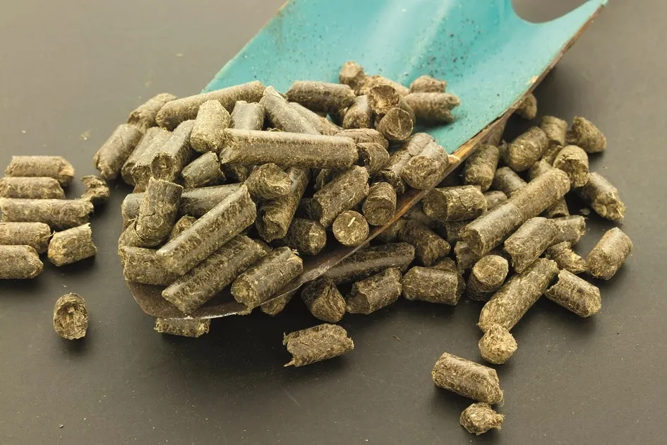 Zdjęcie Czy pellet to biomasa? Odkryj właściwości i korzyści ekologiczne