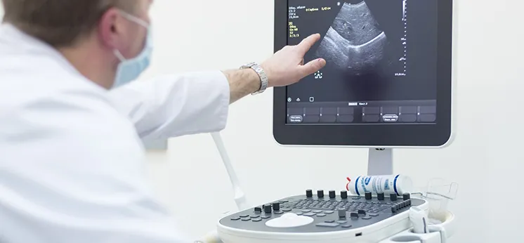 Zdjęcie Jakie badanie krwi na śledzionę pomoże w diagnozie chorób?