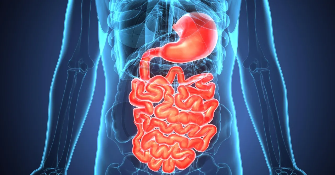 Zdjęcie Jak rozpoznać zapalenie jelit u dziecka? Objawy, które nie mogą umknąć