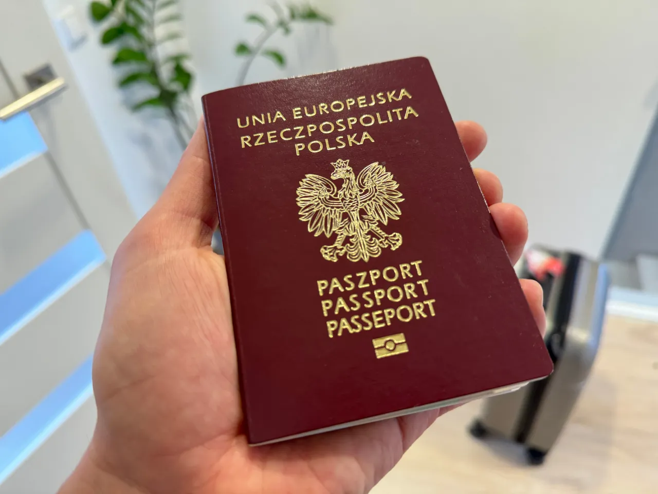 Zdjęcie Czy do USA potrzebny jest paszport? Wszystko o wymaganiach wjazdowych i dokumentach