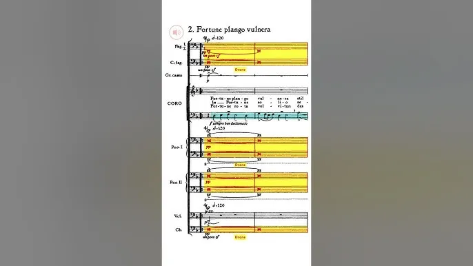 różne rodzaje partytury Carmina Burana przykład