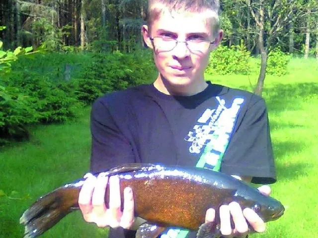 Wędkarz łowiący lina w trzcinach