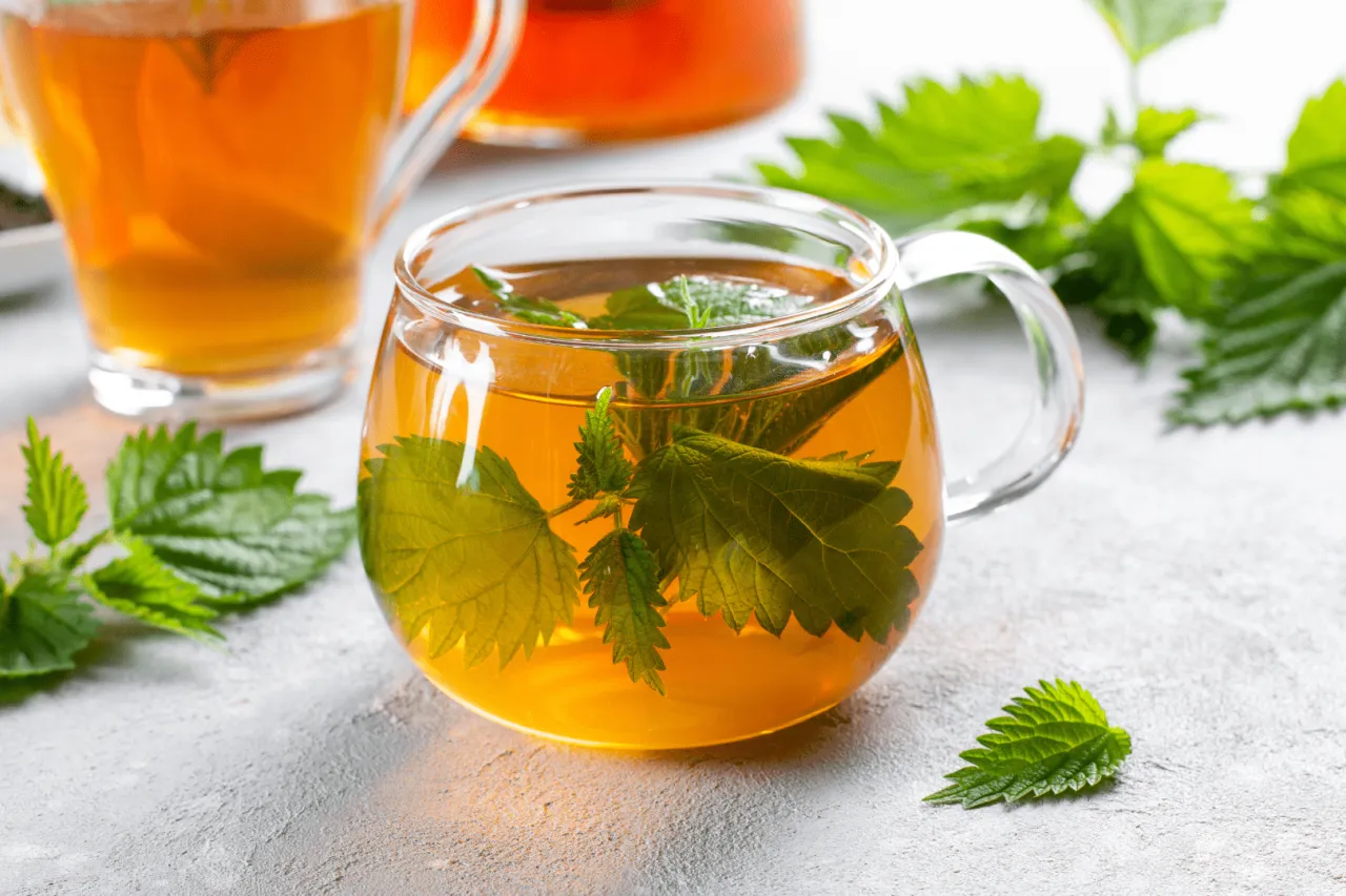 herbata z pokrzywy filiżanki