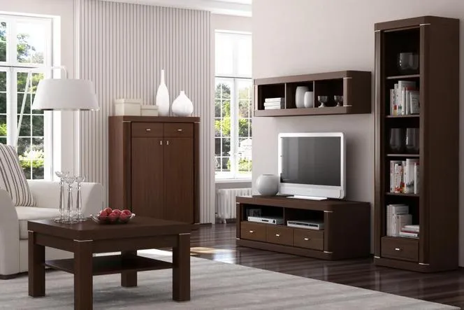 salon meble wenge aranżacje