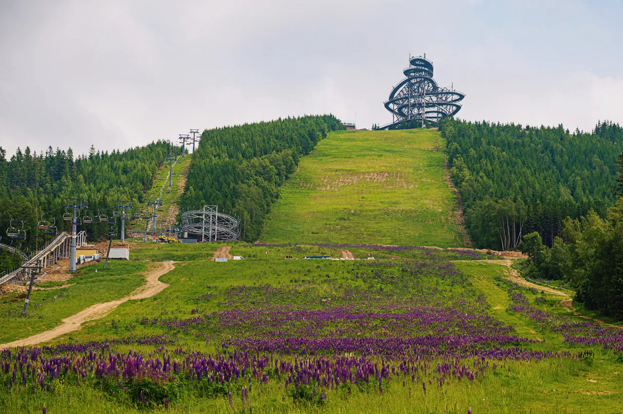 Ścieżka w Obłokach Doln&iacute; Morava