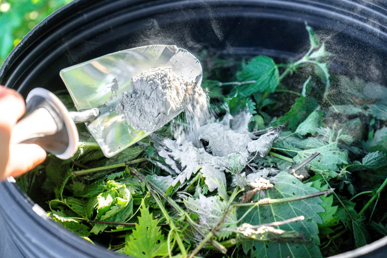 Gnojówka z pokrzyw przygotowanie