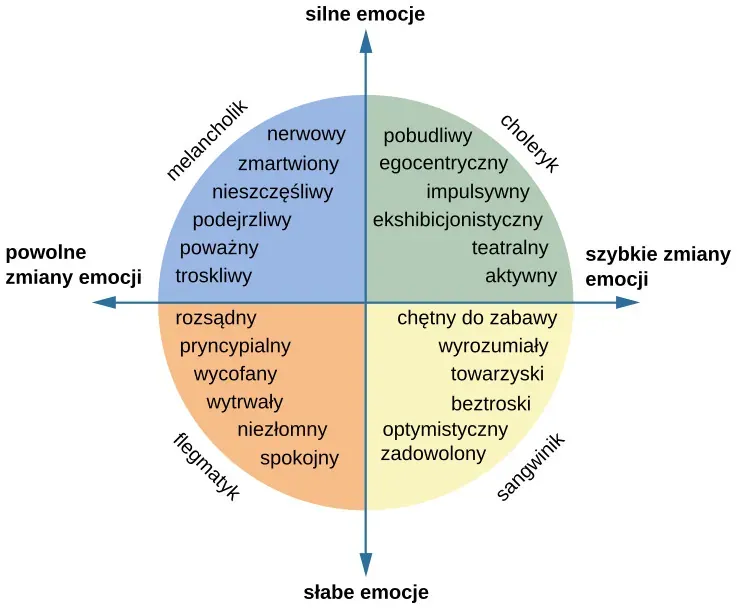 schematy typów osobowości psychologia