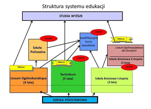 schemat zarządzania szkołą polską role