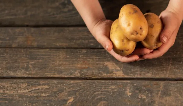 ręka trzymająca ziemniaki