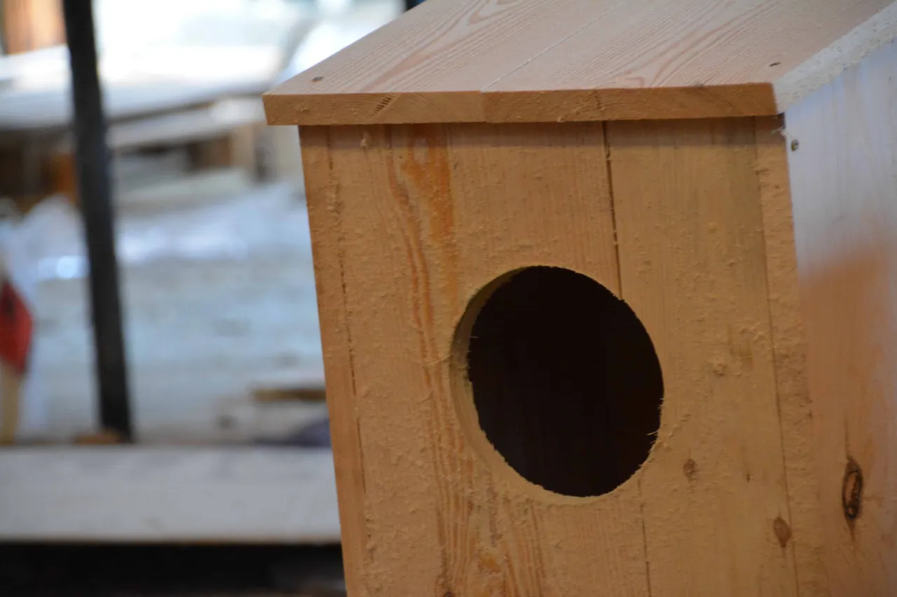 Materiały do budowy budki lęgowej dla nimfy