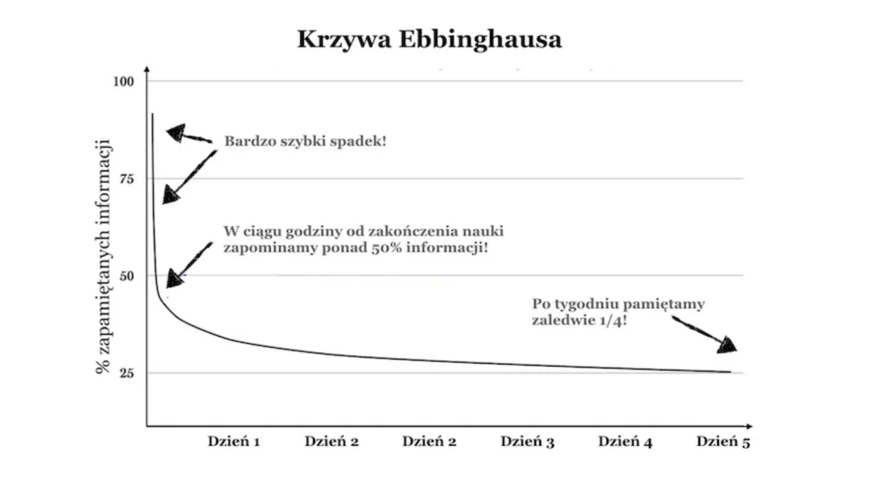 krzywa zapominania ebbinghausa
