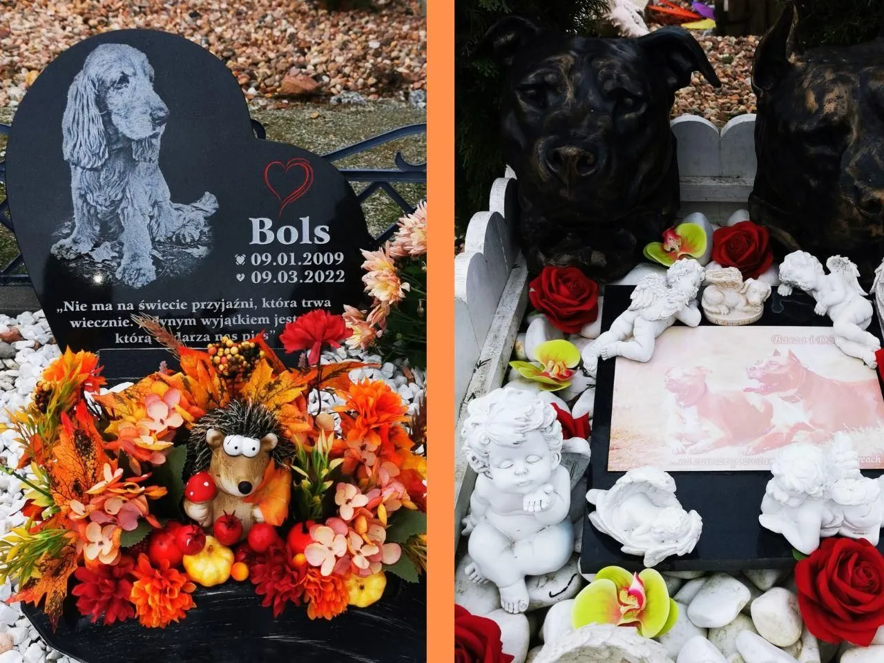 Nagrobki psów z imionami Bols i Basza i Da. Na jednym z nich widnieje cytat o przyjaźni, jak tęczowy most wiersz.