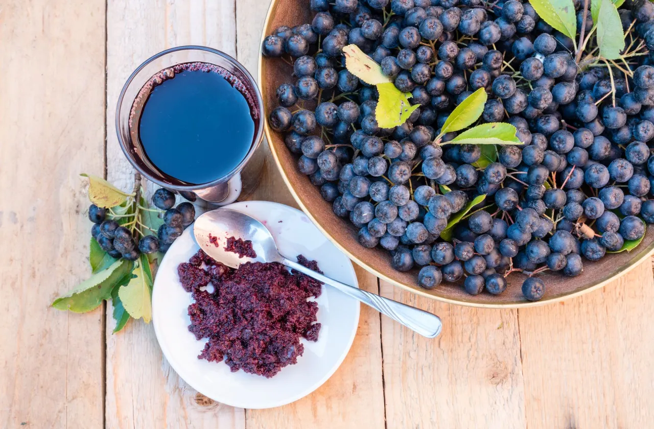 Sok z mrożonej aronii: świeże owoce w misie, szklanka ciemnego soku i łyżeczka przetartych jag&oacute;d na talerzyku.