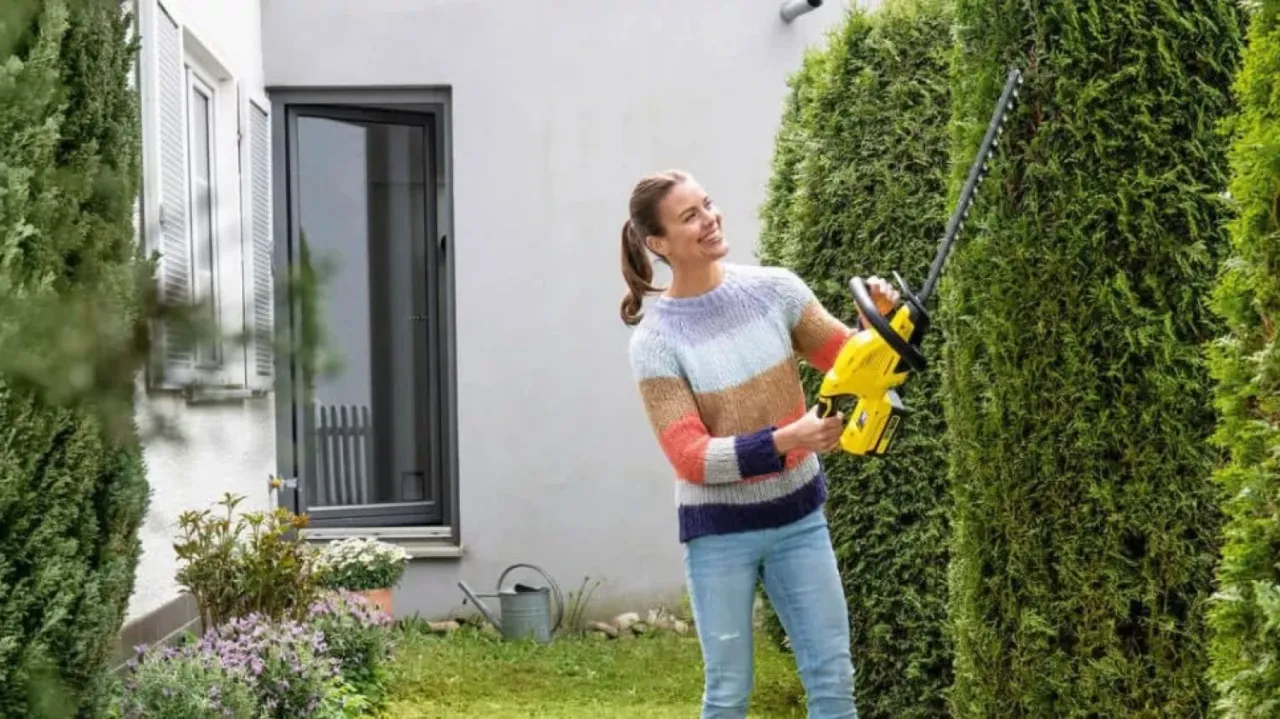 technika przycinania tui żywopłot trapez