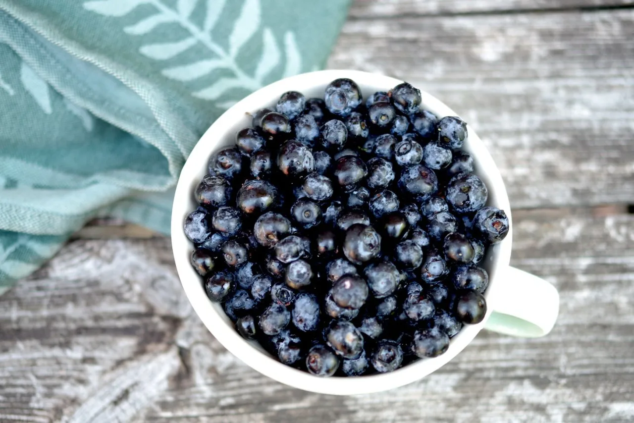 Pełna miseczka bor&oacute;wek amerykańskich w ciąży, gotowych do spożycia.