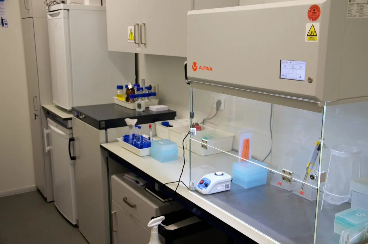 Nowoczesne laboratorium mikrobiologiczne: komora laminarna, lodówki, probówki i odczynniki. Idealne miejsce, by dowiedzieć się, jak założyć laboratorium mikrobiologiczne.