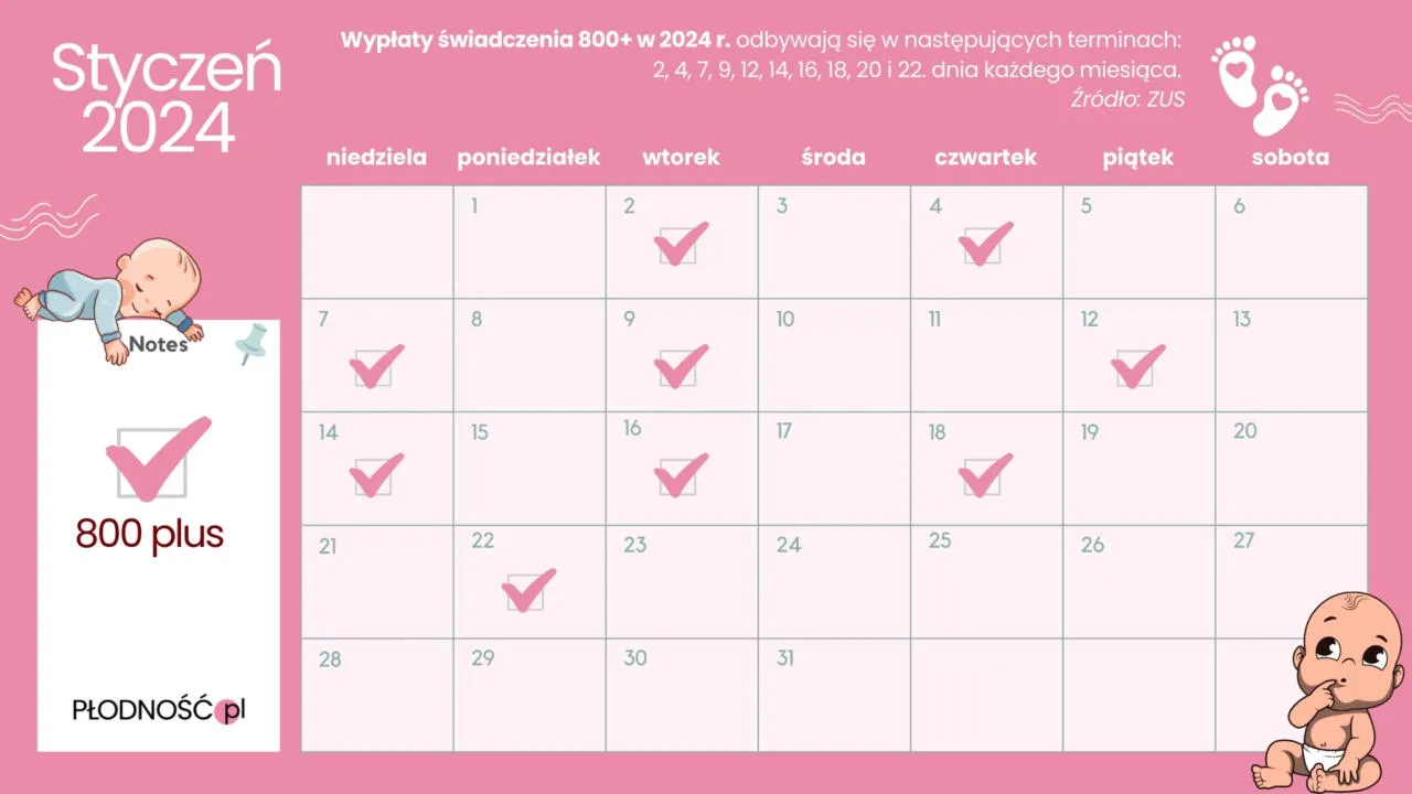 kalendarz terminy 800 plus