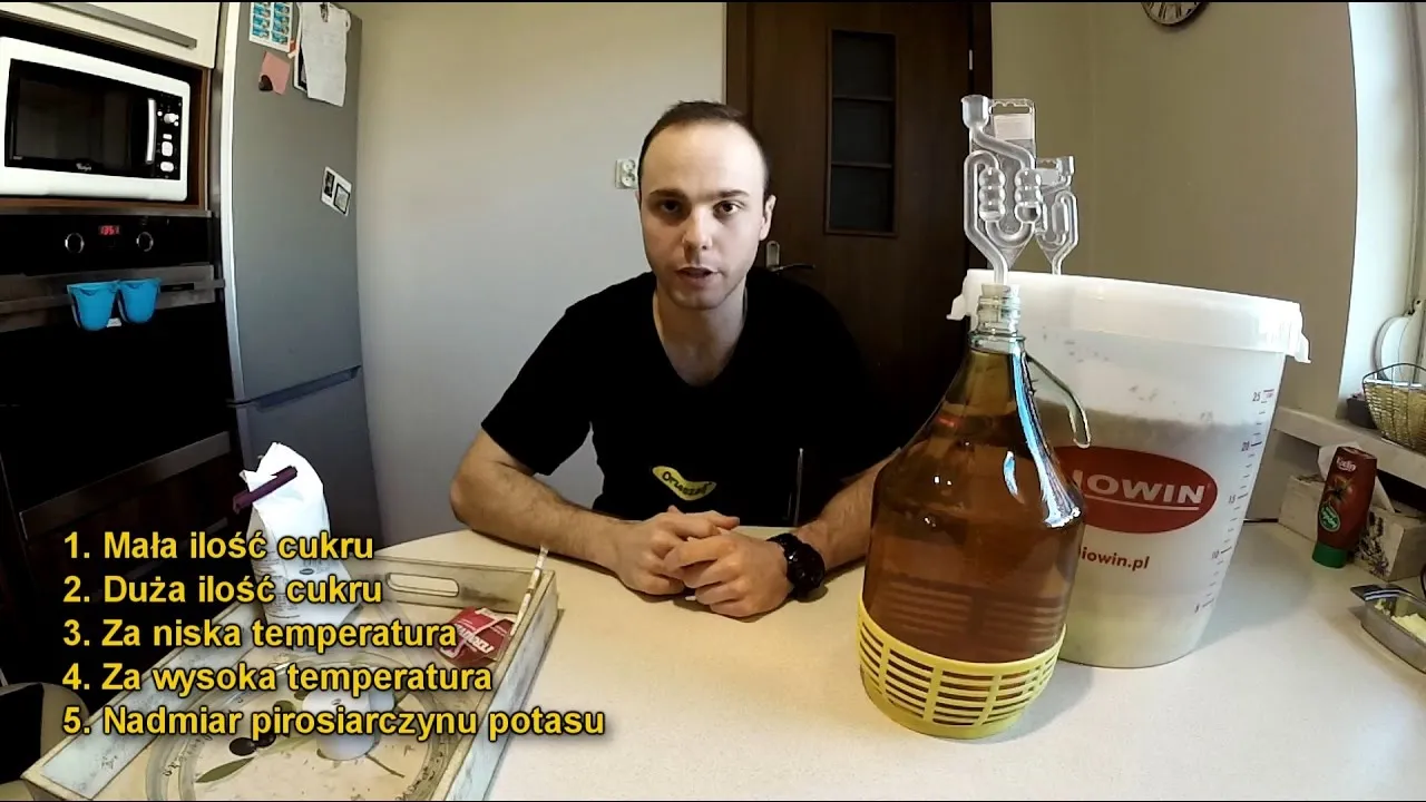 Zdjęcie Po jakim czasie wino zaczyna pracować? Odkryj sekrety fermentacji