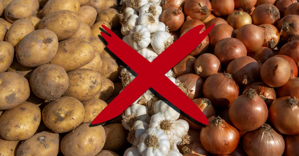 warzywa toksyczne dla psa cebula czosnek znak stop