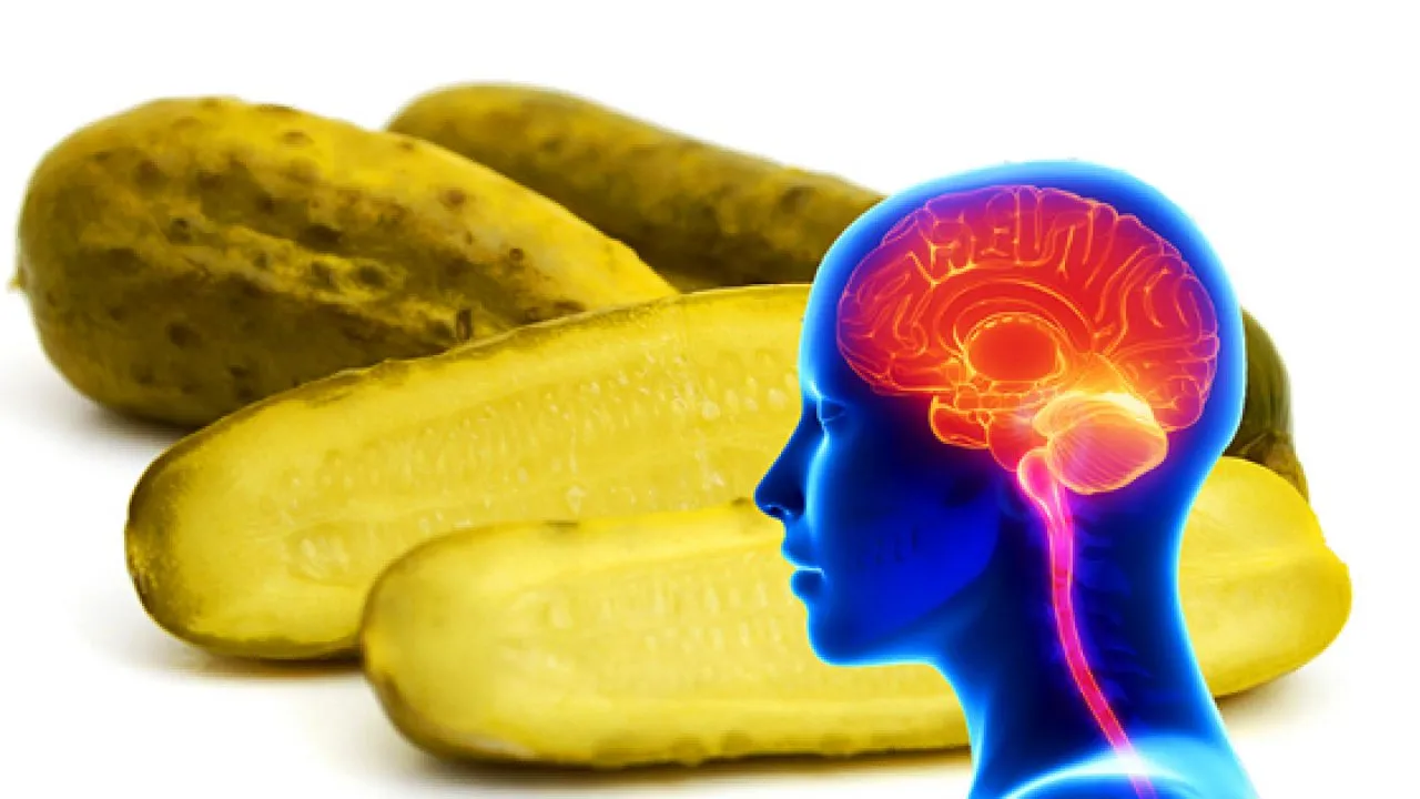 kiszone og&oacute;rki i zdrowe jelita