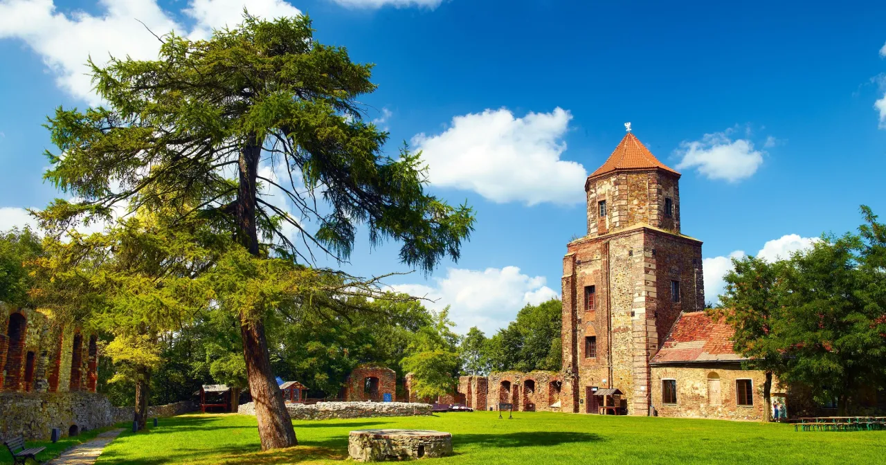 Wieża widokowa Zamek w Toszku