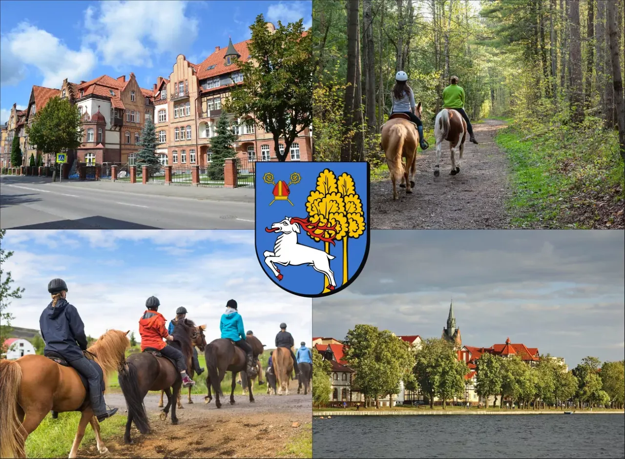 Nauka jazdy konnej Ełk