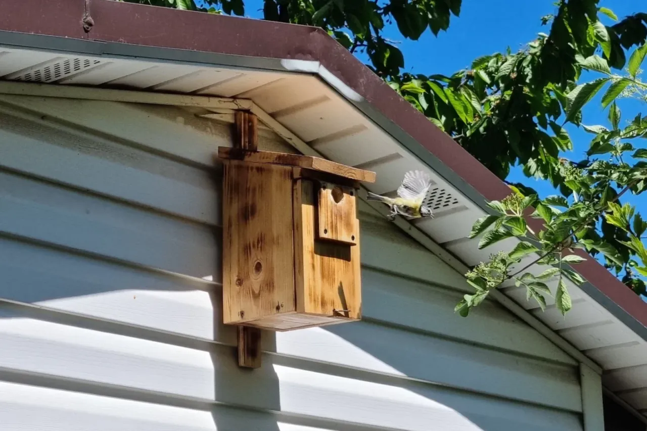 Wsp&oacute;łczesne budownictwo bez miejsc lęgowych dla wr&oacute;bli
