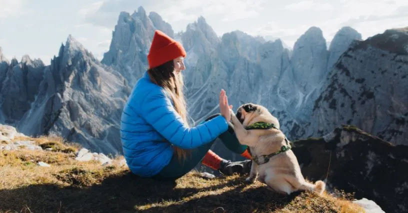 pies turysta w g&oacute;rach ekwipunek