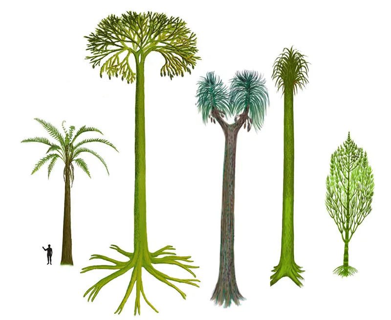 Prehistoryczne rośliny karbonu dla dzieci